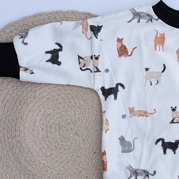Cache-Couche Chats